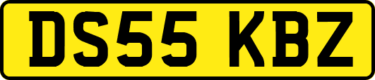 DS55KBZ