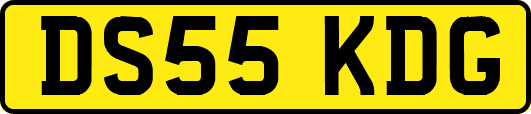 DS55KDG