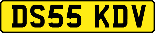 DS55KDV