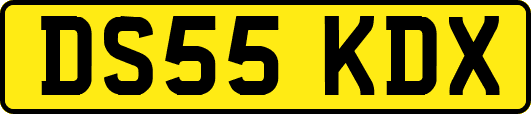 DS55KDX