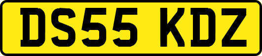 DS55KDZ