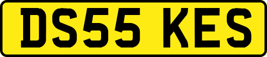 DS55KES
