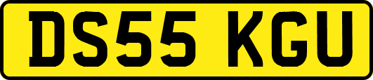 DS55KGU