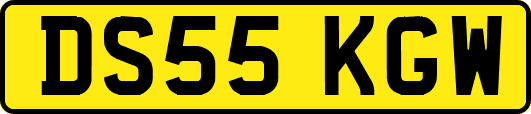 DS55KGW