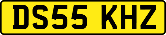 DS55KHZ