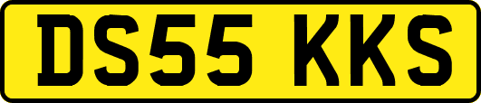 DS55KKS