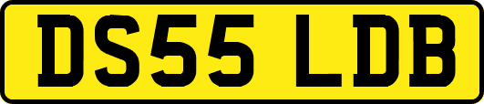 DS55LDB