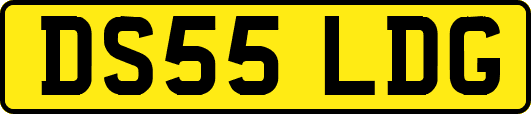 DS55LDG