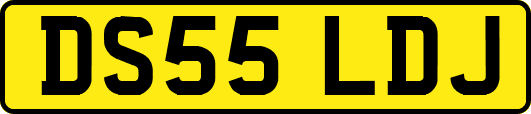 DS55LDJ
