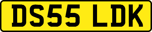 DS55LDK