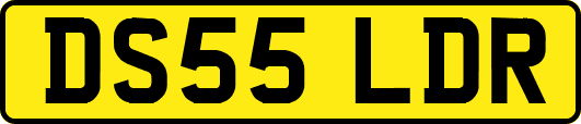 DS55LDR