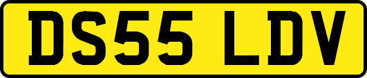 DS55LDV