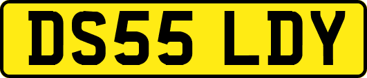 DS55LDY