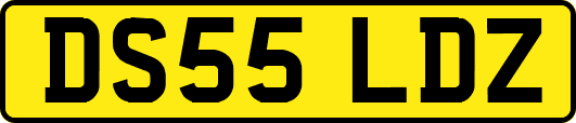 DS55LDZ