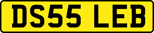 DS55LEB