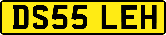 DS55LEH