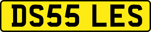 DS55LES