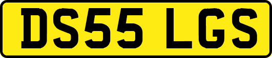 DS55LGS