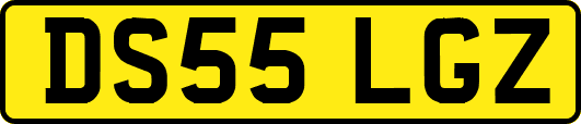 DS55LGZ