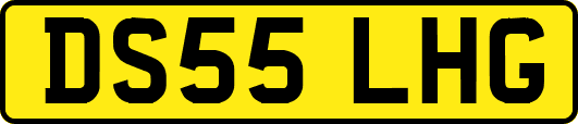 DS55LHG
