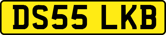 DS55LKB