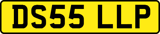 DS55LLP