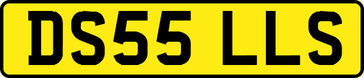 DS55LLS