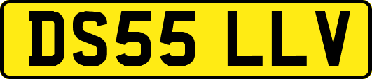 DS55LLV
