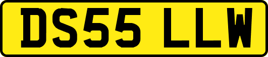 DS55LLW