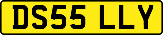 DS55LLY