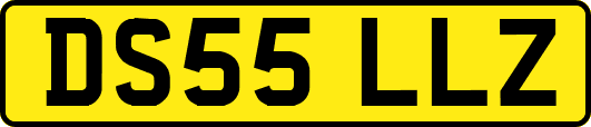 DS55LLZ