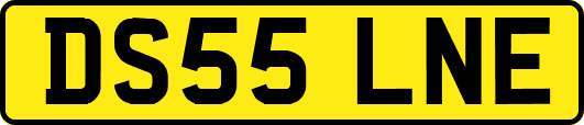 DS55LNE