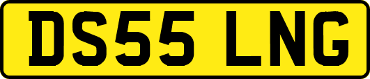 DS55LNG