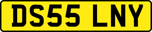 DS55LNY