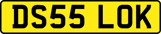 DS55LOK