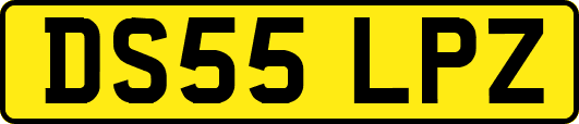 DS55LPZ