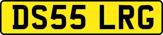 DS55LRG