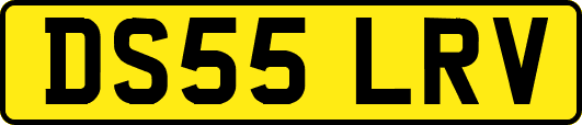 DS55LRV