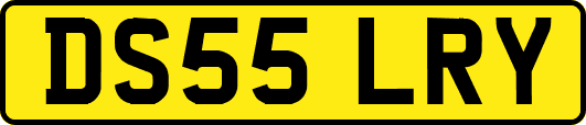 DS55LRY