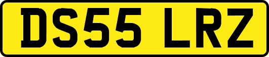 DS55LRZ