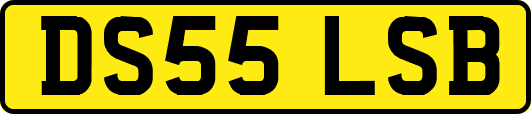 DS55LSB