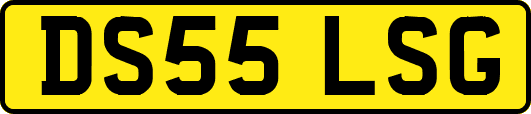 DS55LSG