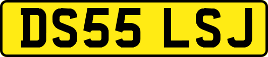 DS55LSJ