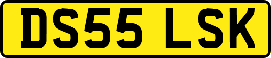 DS55LSK