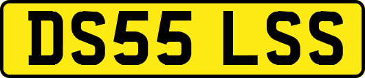 DS55LSS