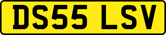 DS55LSV