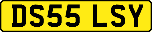 DS55LSY