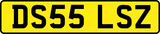 DS55LSZ