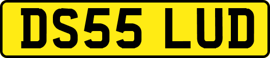DS55LUD