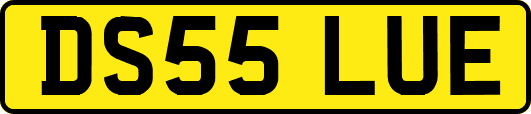 DS55LUE